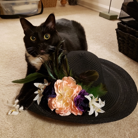 Meet your Posher, Martina - Picture 6 of 7